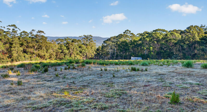 482 Tinderbox Road, Tinderbox TAS 7054