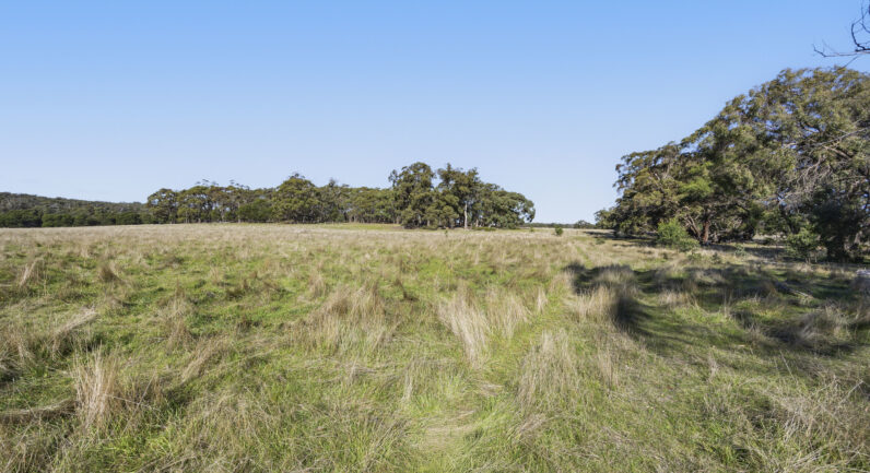 120 Chalkmine Road, Lal Lal VIC 3352