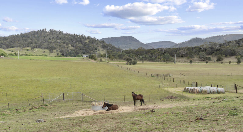 172 Merriworth Road, Tea Tree TAS 7017