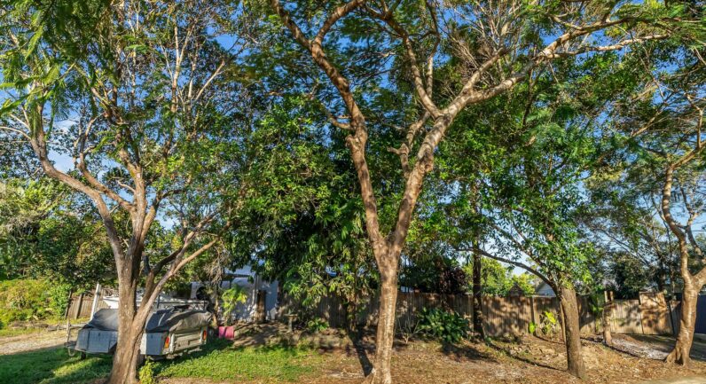 3 Crown Close, Edmonton QLD 4869