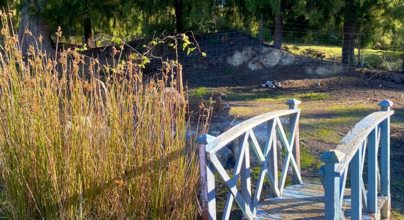 23 Glovers Road, Deep Bay TAS 7112