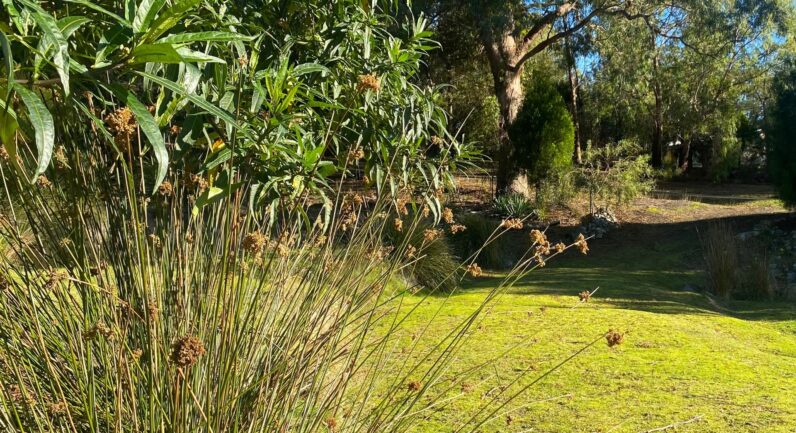 23 Glovers Road, Deep Bay TAS 7112