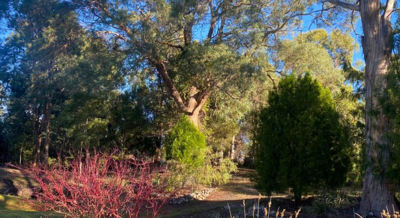 23 Glovers Road, Deep Bay TAS 7112