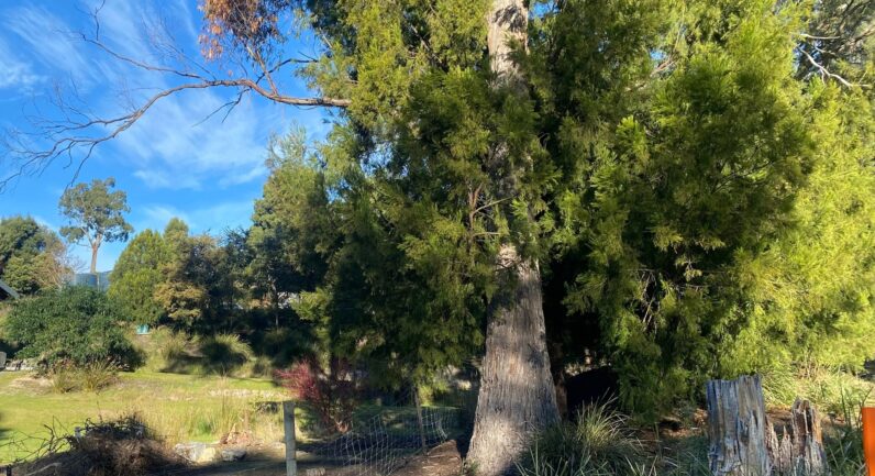 23 Glovers Road, Deep Bay TAS 7112