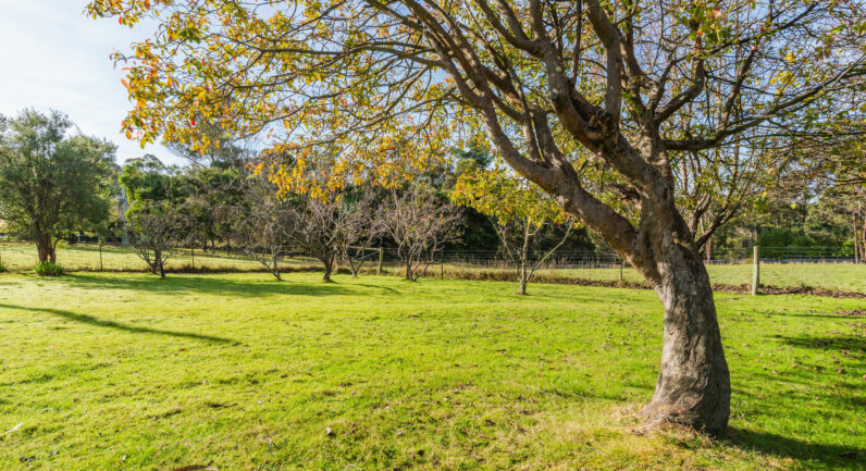 85 Watsons Road, Kettering TAS 7155