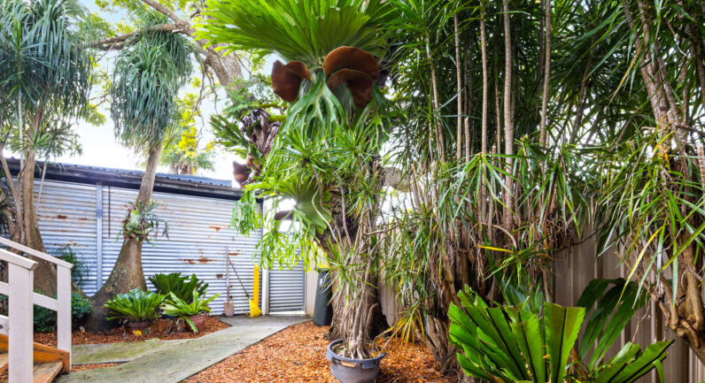 3 Verge Street, Smithtown NSW 2440